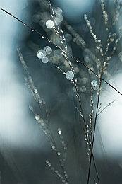 《地球防卫军6》官方活动将于7月30日晚举行 介绍任务实机游玩